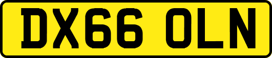 DX66OLN