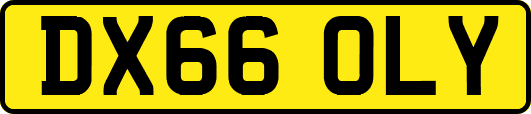 DX66OLY