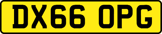 DX66OPG