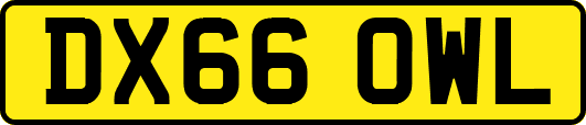 DX66OWL