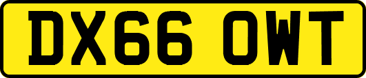 DX66OWT
