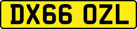 DX66OZL