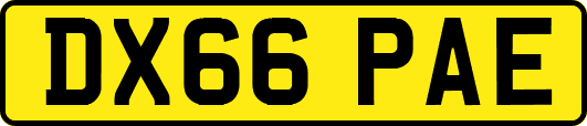 DX66PAE