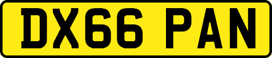 DX66PAN