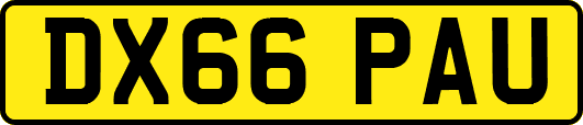 DX66PAU