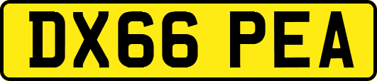 DX66PEA