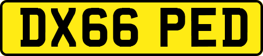 DX66PED