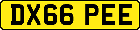 DX66PEE