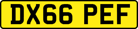 DX66PEF