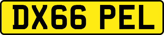 DX66PEL