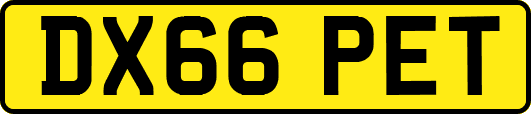 DX66PET