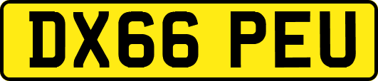 DX66PEU