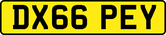 DX66PEY