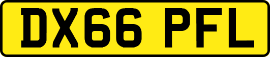 DX66PFL