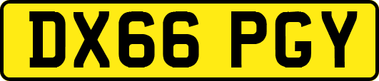 DX66PGY