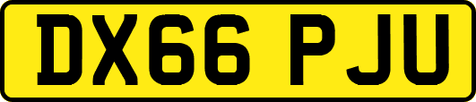DX66PJU