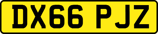 DX66PJZ