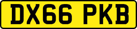 DX66PKB