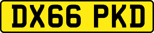 DX66PKD