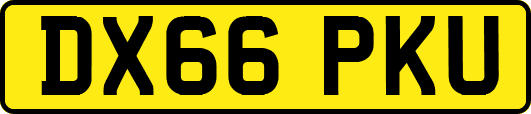 DX66PKU