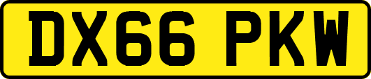 DX66PKW