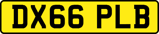 DX66PLB