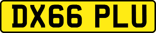 DX66PLU