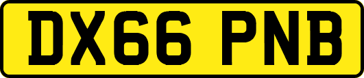 DX66PNB
