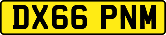 DX66PNM