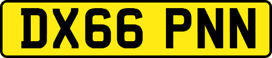 DX66PNN
