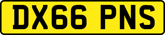 DX66PNS