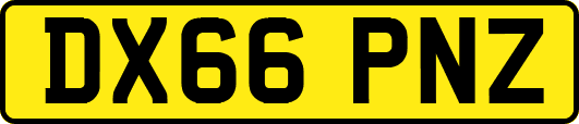 DX66PNZ