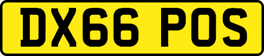 DX66POS