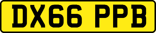 DX66PPB