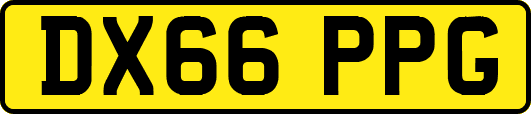 DX66PPG