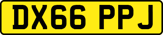 DX66PPJ