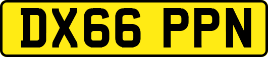 DX66PPN