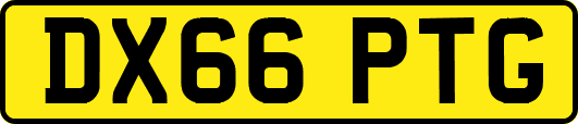 DX66PTG