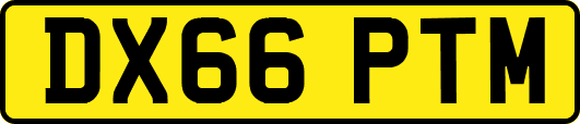 DX66PTM