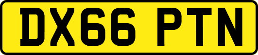 DX66PTN