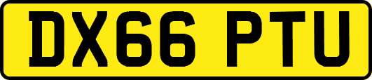 DX66PTU