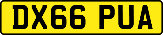 DX66PUA