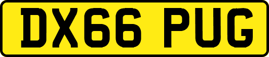 DX66PUG