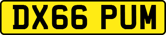 DX66PUM