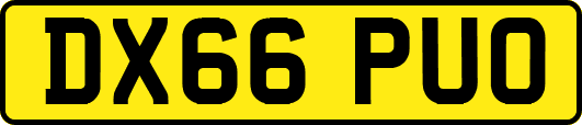 DX66PUO