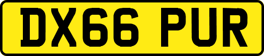 DX66PUR