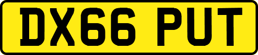 DX66PUT