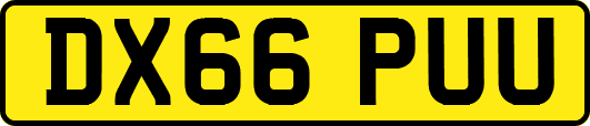 DX66PUU