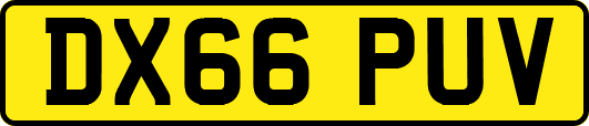 DX66PUV