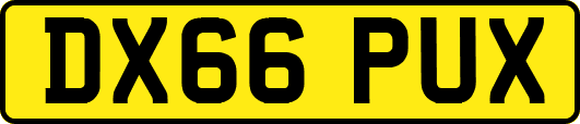 DX66PUX